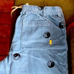Brand new never been worn Urban Outfitters Embroidered Corduroy beach pants,blue